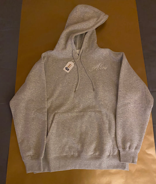 Ahni Grey Hoodie
